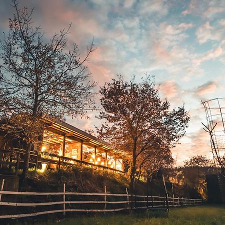 Vale Da Silva Villas - Homes Албергария-а-Велья Экстерьер фото