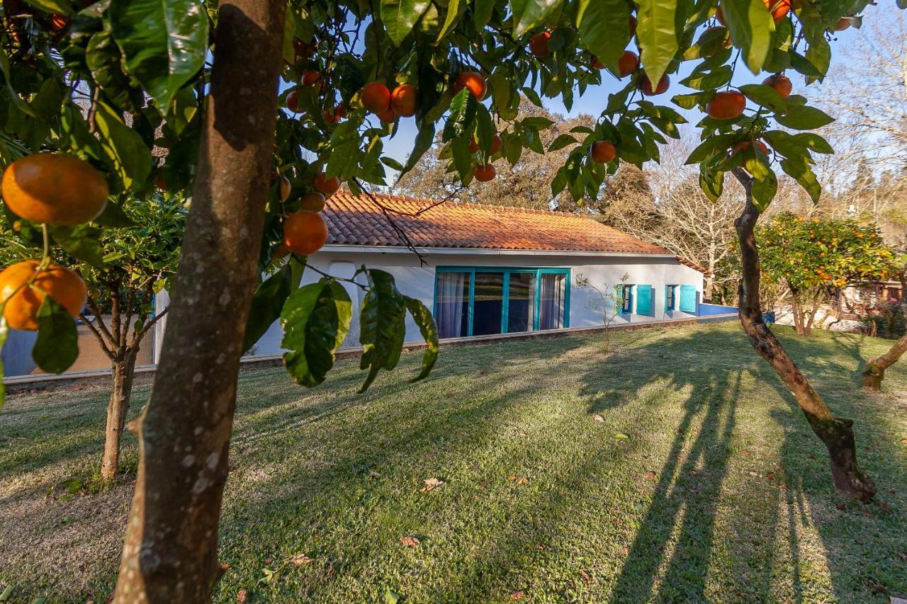 Vale Da Silva Villas - Homes Албергария-а-Велья Экстерьер фото