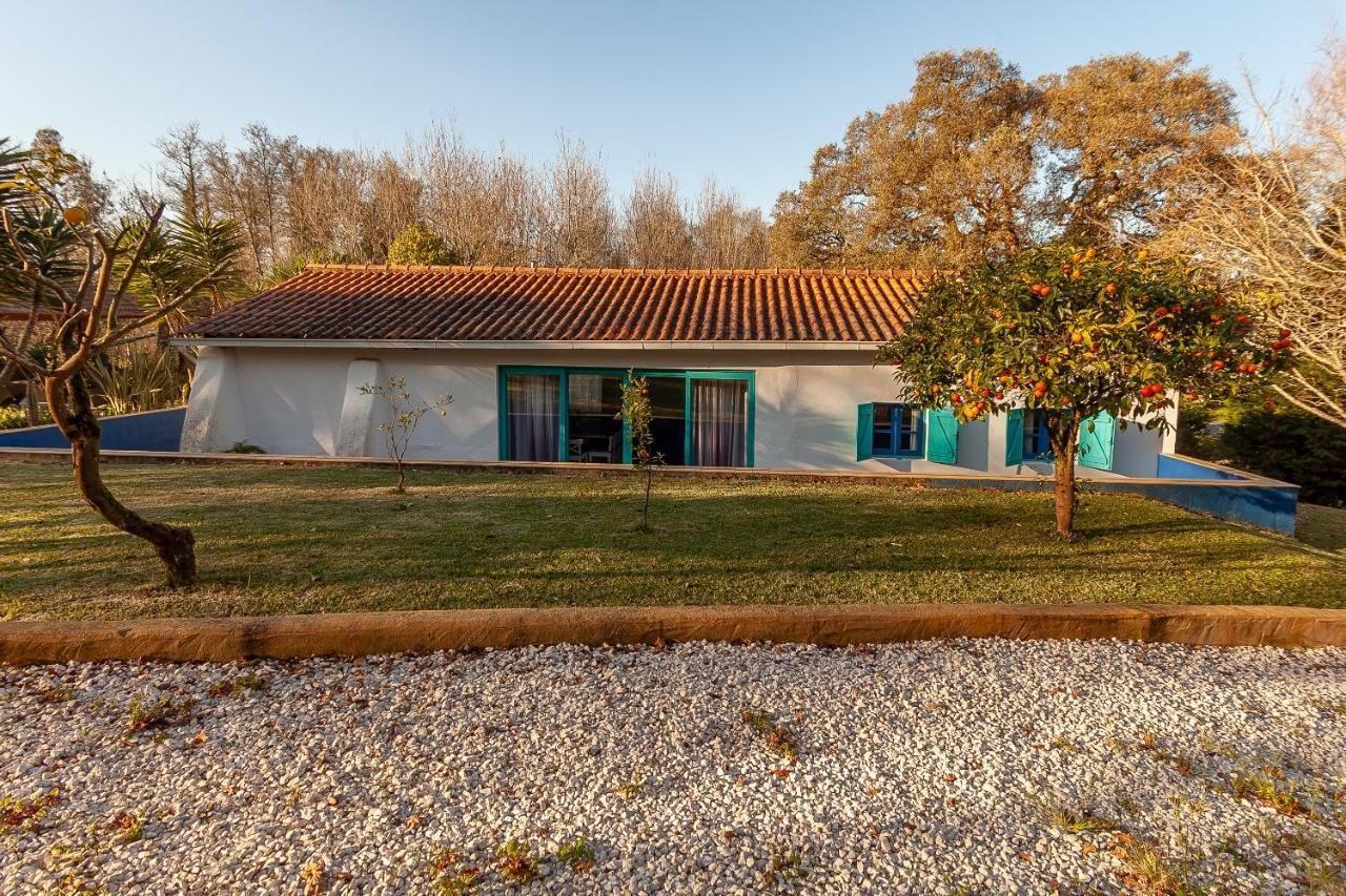 Vale Da Silva Villas - Homes Албергария-а-Велья Экстерьер фото