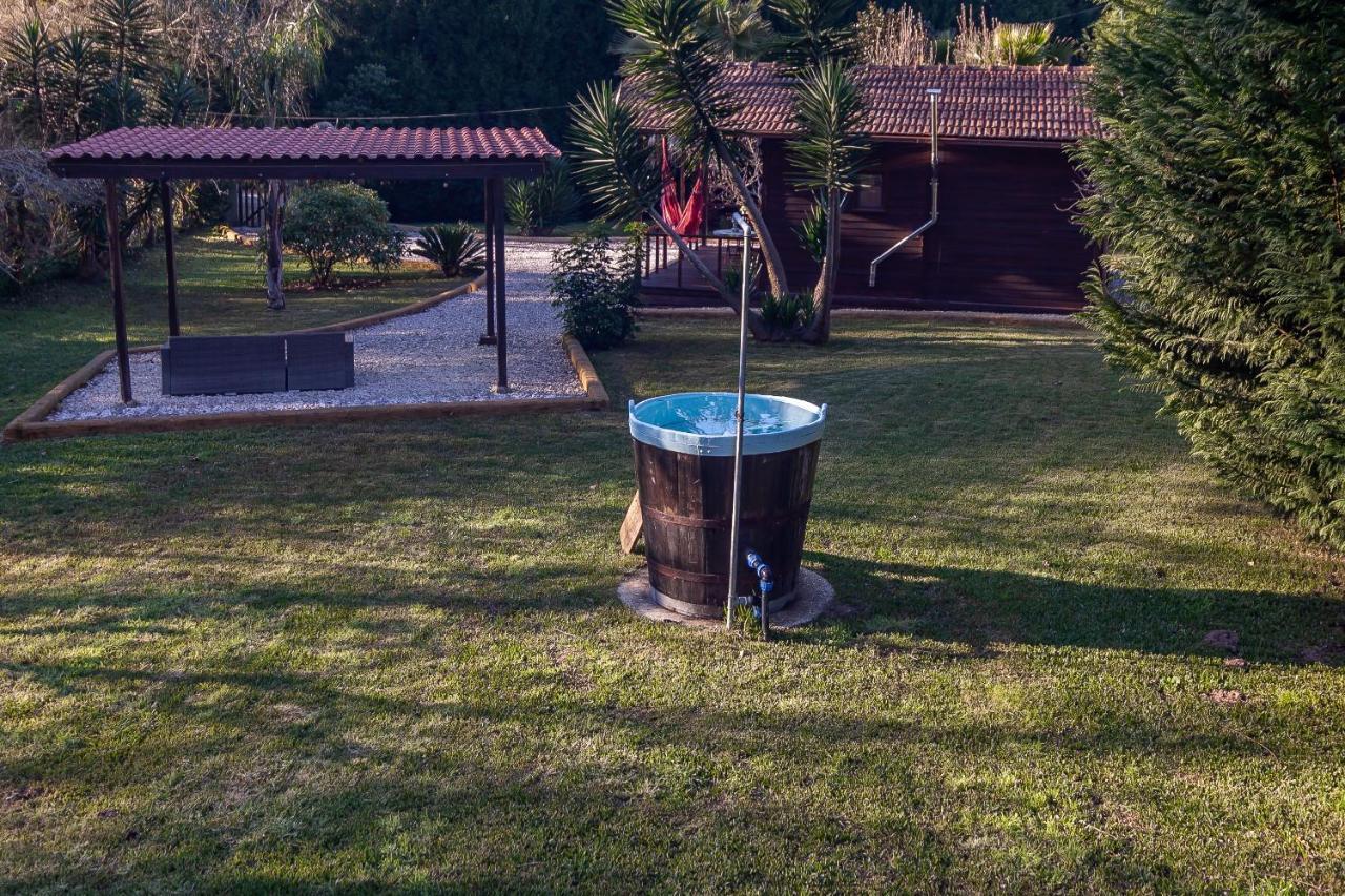 Vale Da Silva Villas - Homes Албергария-а-Велья Экстерьер фото