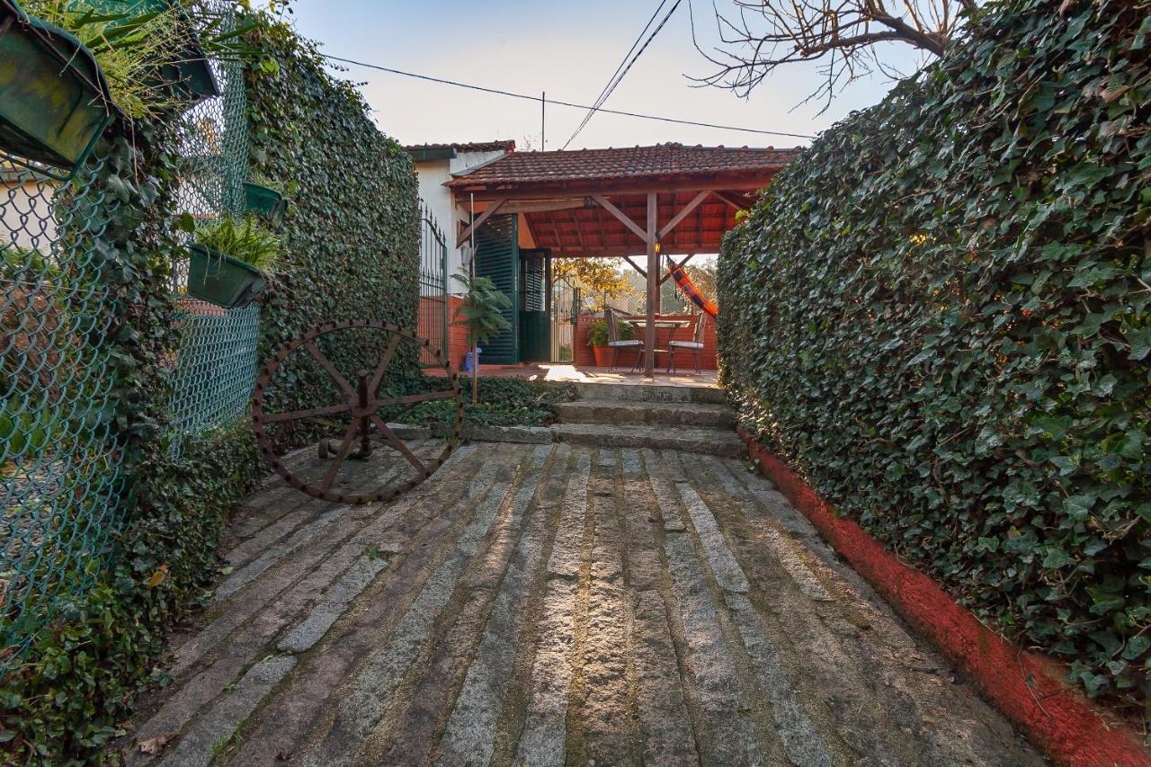 Vale Da Silva Villas - Homes Албергария-а-Велья Экстерьер фото